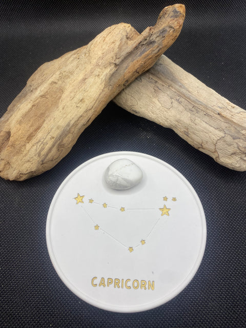 Constellation Capricorne