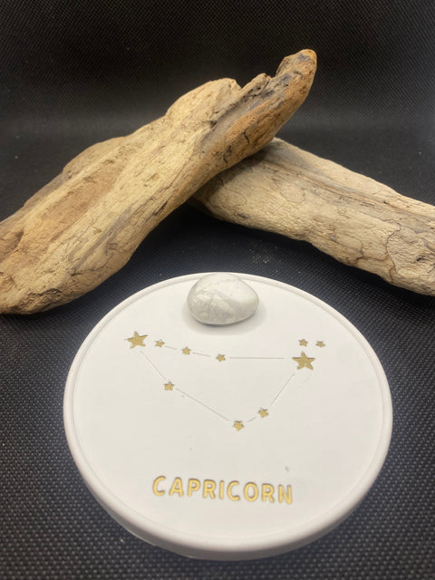 Constellation Capricorne