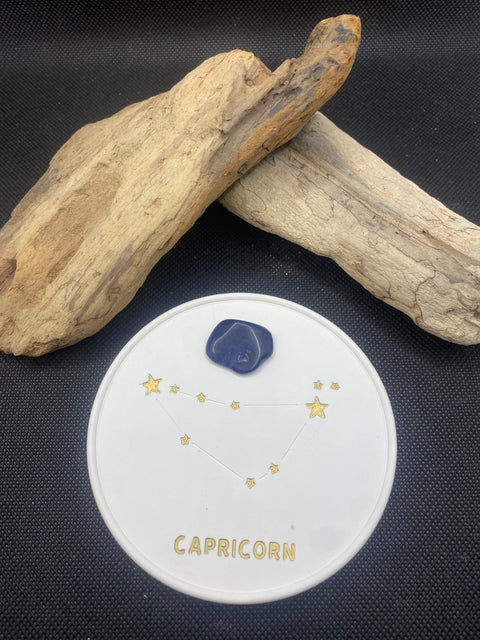 Constellation Capricorne