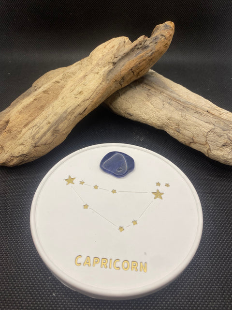 Constellation Capricorne